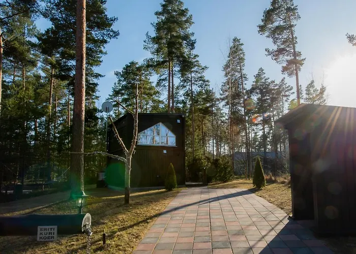 Casa vacanze Reiu Holiday Home *